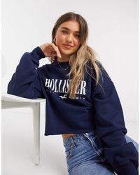 hollister crew neck sweater women's