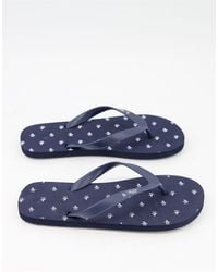 penguin flip flops