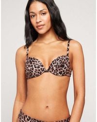Tezenis - Wild Soul Padded Push-Up Bikini Top - Lyst