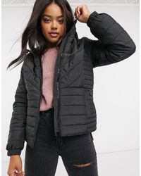 new look supreme jacket