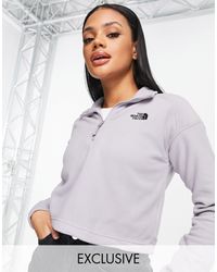 The North Face 100 Glacier Cropped 1/4 