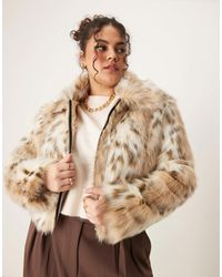 ASOS - Asos Design Curve Faux Fur Bomber Jacket - Lyst