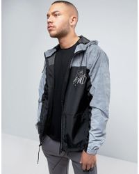 king will dream coat