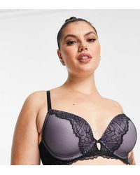DORINA - Curve - Lyst