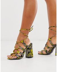 simmi vanessa snake