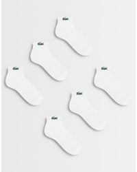 Lacoste - 6 Pack Croc Logo Long Sports Socks - Lyst