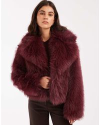 Miss Selfridge - Giacca Corta - Lyst