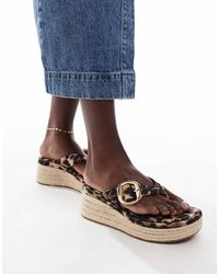 ASOS - Toucan - Lyst