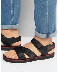 timberland leather sandals mens