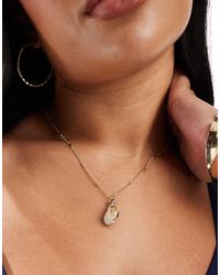 ASOS - Asos Design Curve Necklace With Faux Shell Charm On Dot Dash Chain - Lyst
