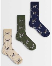 Barbour - 3 Pack Pointer Dog Socks Gift Box - Lyst