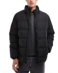 Threadbare - Chaqueta De Plumas Negra Con Cuello Alzado De - Lyst