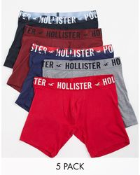 calecon homme hollister