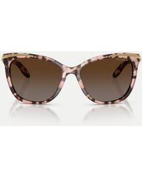 Ralph - Cat-eye-sonnenbrille, polarisiert, mit braunen gläsern - Lyst