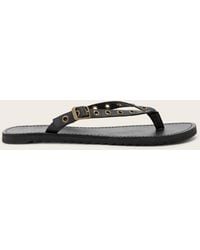 AllSaints - Sydney Leather Flip Flop Leather Sandals With Eyelet Detail - Lyst