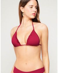 Tezenis - Sunny Days Bikini Top - Lyst
