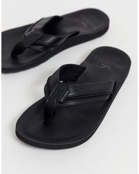 hollister slippers mens