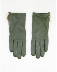 Paul Costelloe – handschuhe aus leder - Grün