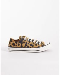 Converse - – chuck taylor all star ox – sneaker mit kuhfellmuster - Lyst