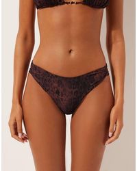 Calzedonia - Brazilian Leopard Print Bikini Bottom - Lyst