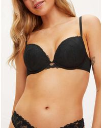 KBX - Harper Padded Plunge Bra - Lyst