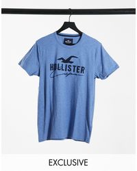 hollister t shirts for sale mens