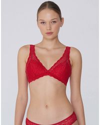 Tezenis - Havana Lace Triangle Bra - Lyst