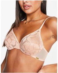 Gossard - Glossies Lace Non Padded Sheer Bra - Lyst