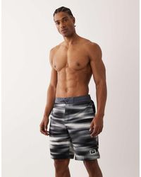 Speedo - Print Bondi 20" Boardshort - Lyst