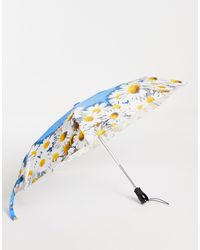 Mujer Accesorios de Paraguas Jefe guas Joseph Blue Pendleton de Tejido sintético 