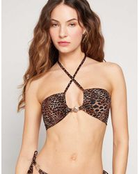 Tezenis - Savage Sun Bikini Top - Lyst