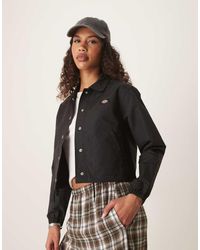 Dickies - Oakport Cropped Coach Jacket - Lyst