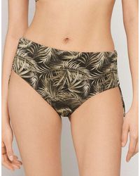Tezenis - Briefs High Drawstring Golden Tropics - Lyst