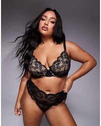 ASOS - Asos design curve – lola – push-up-bh aus spitze - Lyst
