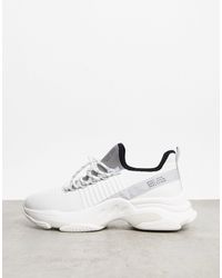 basket steve madden homme