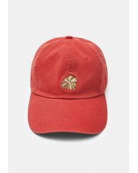 Pull&Bear - Cappellino Con Fiori Di Ibisco Ricamati - Lyst