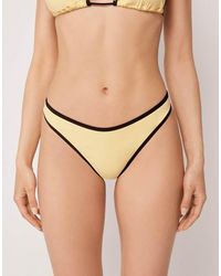 Calzedonia - Piping Brazilian Bikini Bottom - Lyst