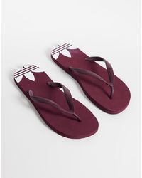 adidas Originals - Adisun Flipflops - Lyst