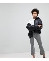 stradivarius cargos