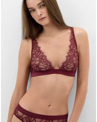 Intimissimi - Elevate Your Day Triangle Bra - Lyst