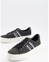 calvin klein jinjer sneaker