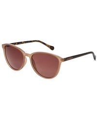 Ted Baker - Tierney Sunglasses - Lyst