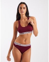 Lacoste - Stretch Cotton Logo Band Bralette - Lyst