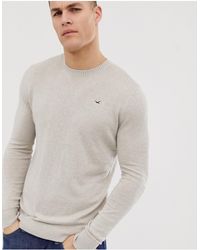 hollister mens jumper sale