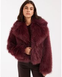 Miss Selfridge - Faux Fur Crop Jacket - Lyst