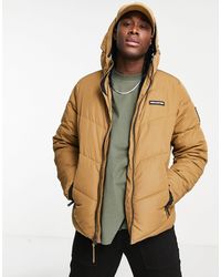 Hollister Down and padded jackets for Men | Online Sale up to 70% off |  Lyst Australia