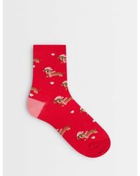 Accessorize - Christmas Dog Socks - Lyst