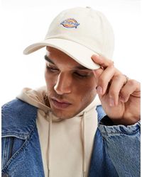 Dickies - Hardwick - Lyst