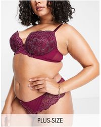 Ann Summers Curve Sexy Lace Planet Recycled Nylon Blend Lace Plunge Bra - Red
