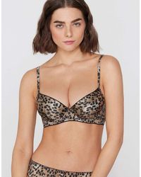 Tezenis - Berlin Sauvage Soul Padded Push-Up Bra - Lyst